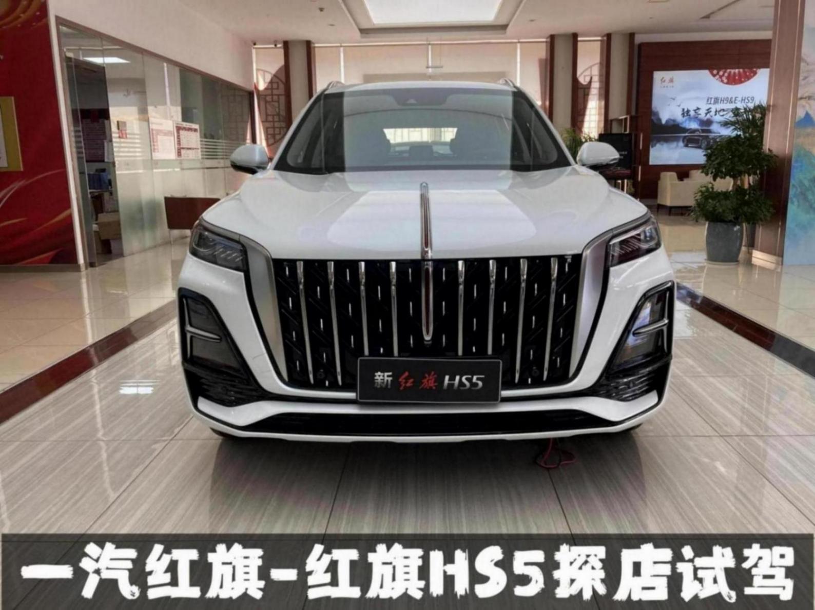 20萬(wàn)級(jí)的中型SUV,動(dòng)力不輸合資車(chē),體驗(yàn)紅旗HS5