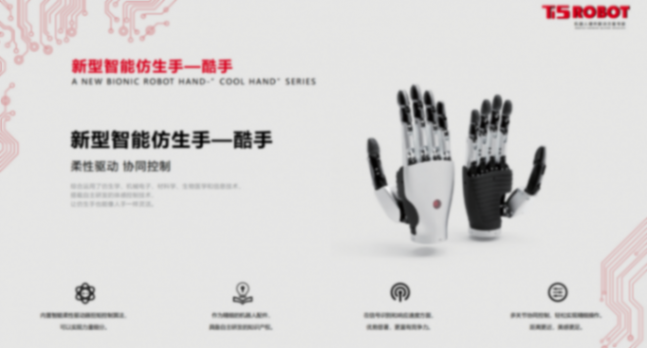 鈦虎機器人：先進電驅平臺加速智能具身